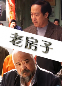 公与儿媳系列100集